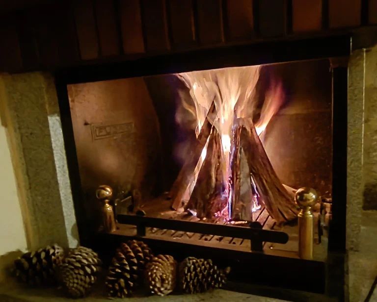Chimenea encendida