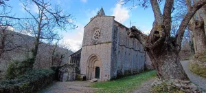 Monasterio de Santa Cristina de Ribas de Sil